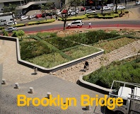 Brooklyn Bridge